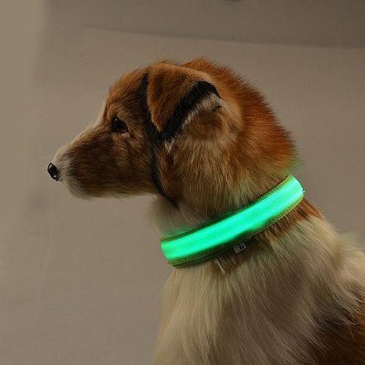 Ошейник LED светящийся узкий для небольших собак и кошек 0.5 м 3811176 фото