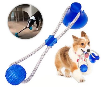 Игрушка для домашних животных, Мяч на веревке с присоской 000239 фото