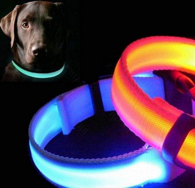 Ошейник LED светящийся узкий для небольших собак и кошек 0.5 м Синий, Красный, Зеленый 3811176С фото