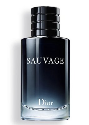 Мужские духи Dior Savage 2015 EDT 100ml Jh7yb фото